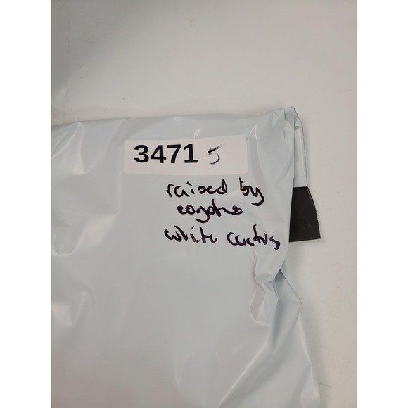 Raised by Coyotes Polo‎ Shirt Mens Medium White Coyote Cactus Golf UPF 50 UV - Picture 9 of 9